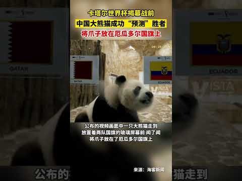 在线玩百家,资讯,在线玩百家乐,在线玩百家乐,百家乐技巧,在线百家乐游戏,百家乐攻略,在线赌场,百家乐投注技巧,真人百家乐,在线赌博,百家乐秘诀